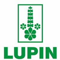 Lupin